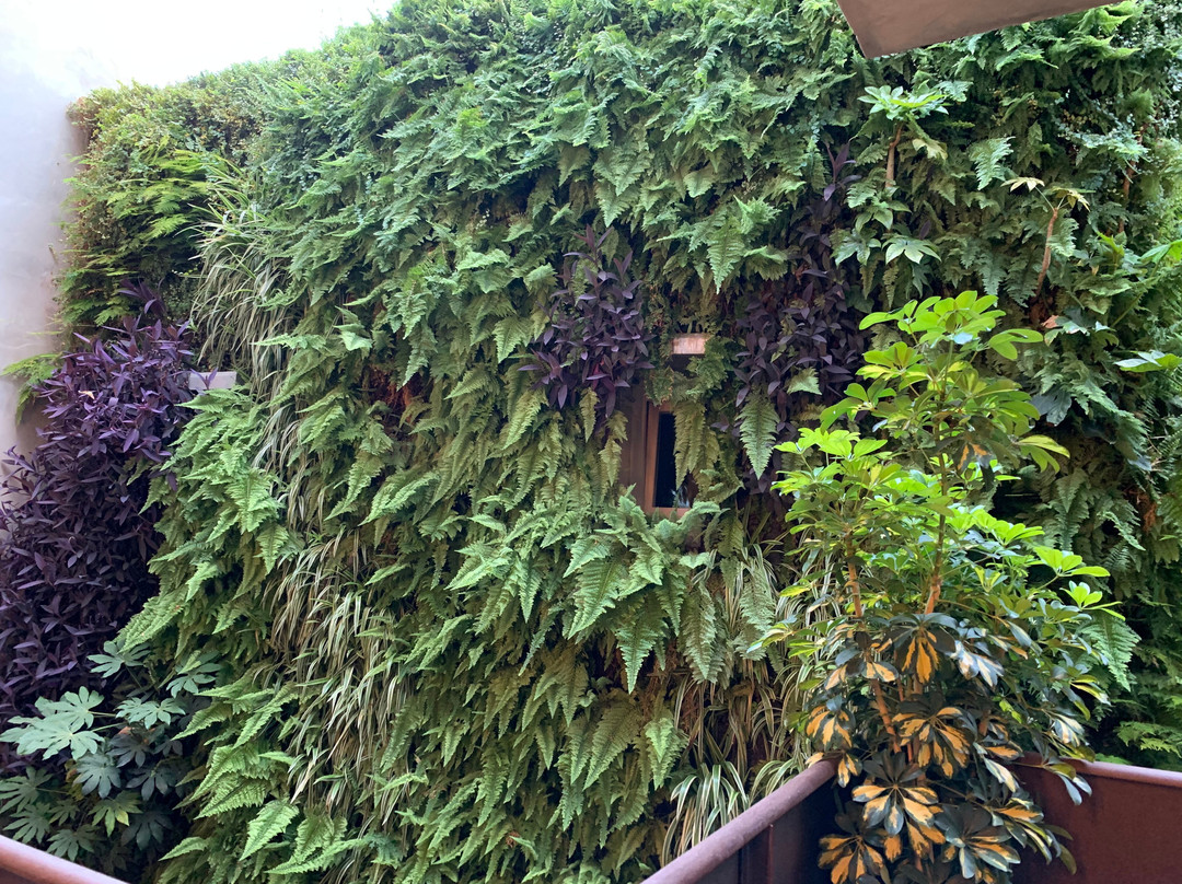 Kook Hotel Tarifa主图