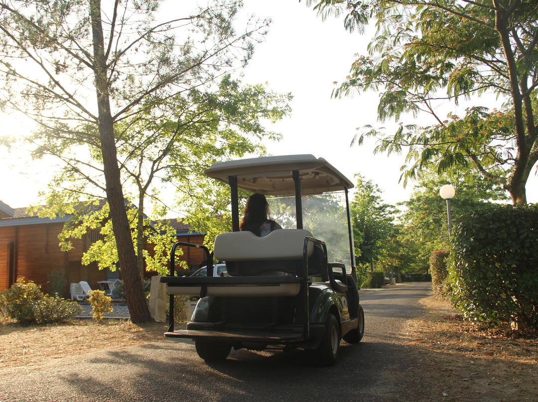 Le village des Pins d'Or主图