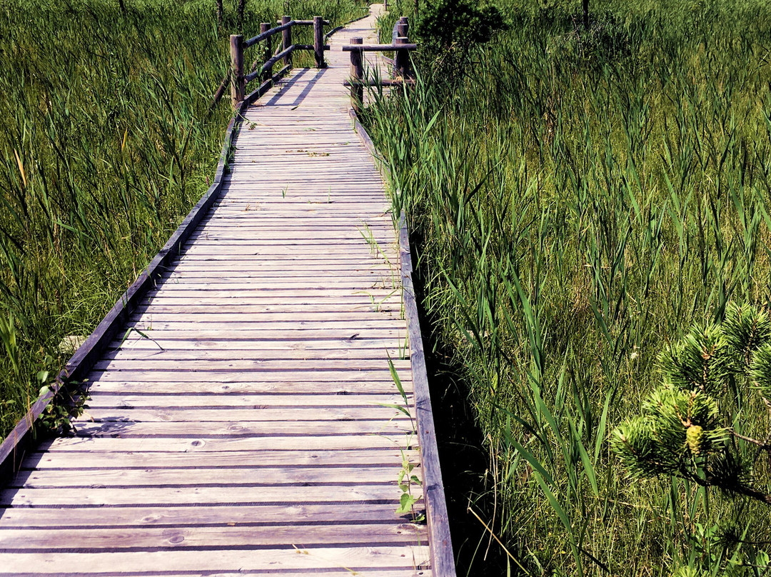 Slitere Nature Trail景点图片