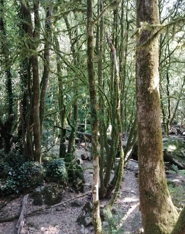 Cascades d'Arifat-Arifat必去景点