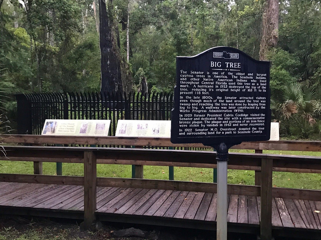 Big Tree Park-Longwood必去景点