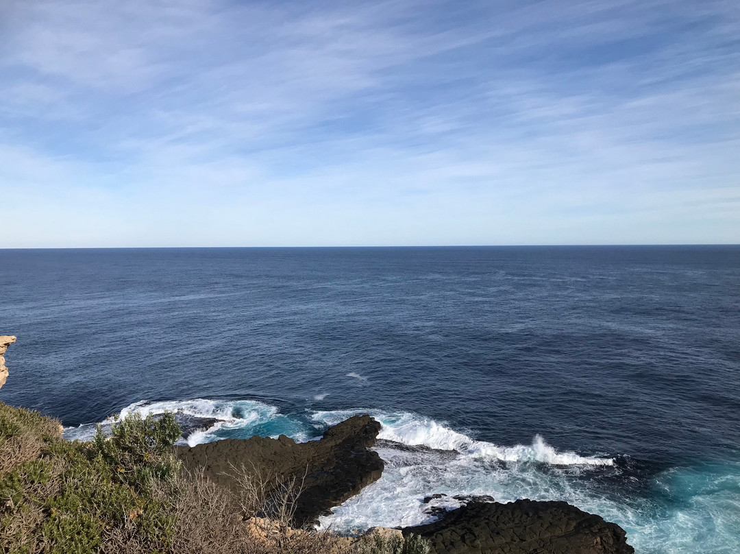 Cape Nelson State Park-波特兰必去景点