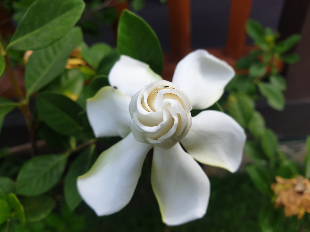 Viang Yonok Hotel, Restaurant, Sports Club主图