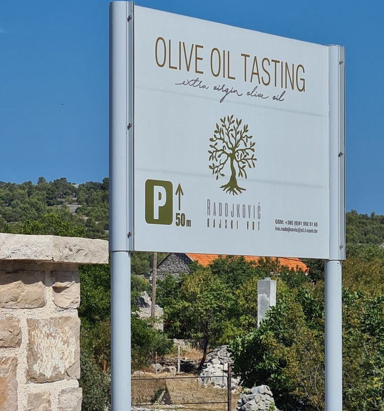Olive oil tasting Radojkovic-Bogomolje必去景点