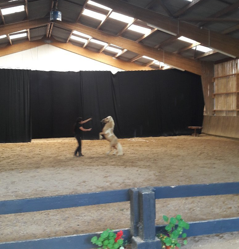 Théâtre Equestre de la Pommeraye景点图片
