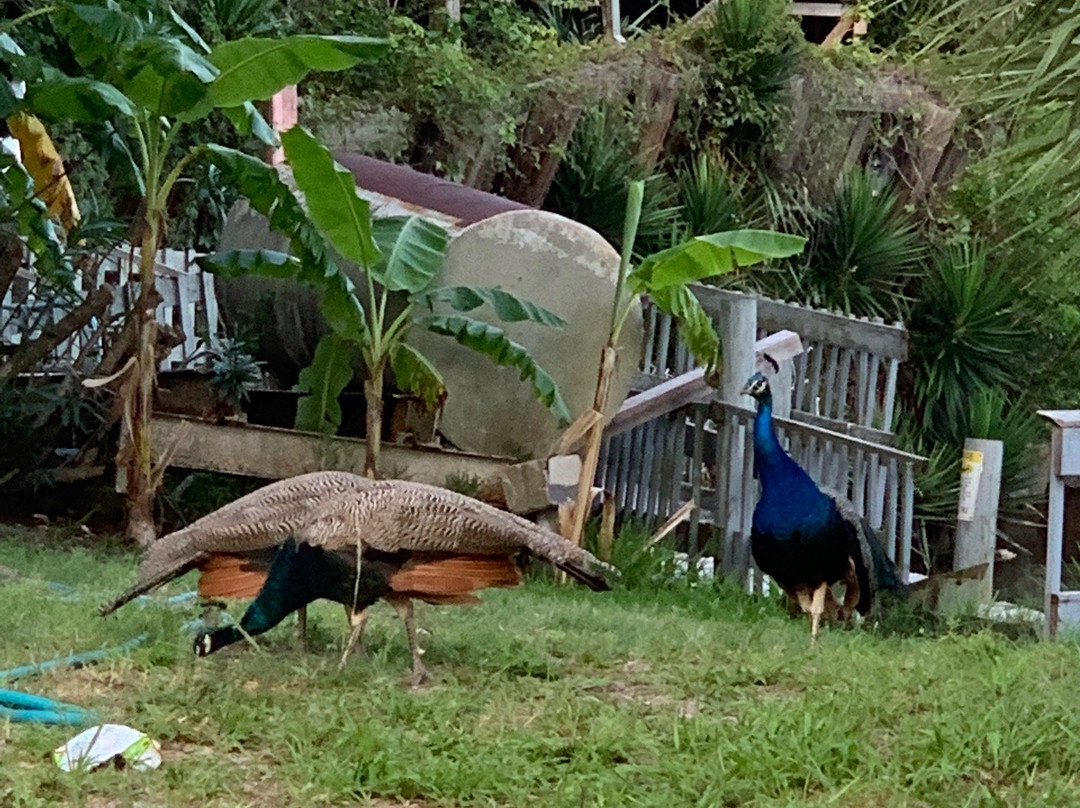 Sportsman's Lodge主图