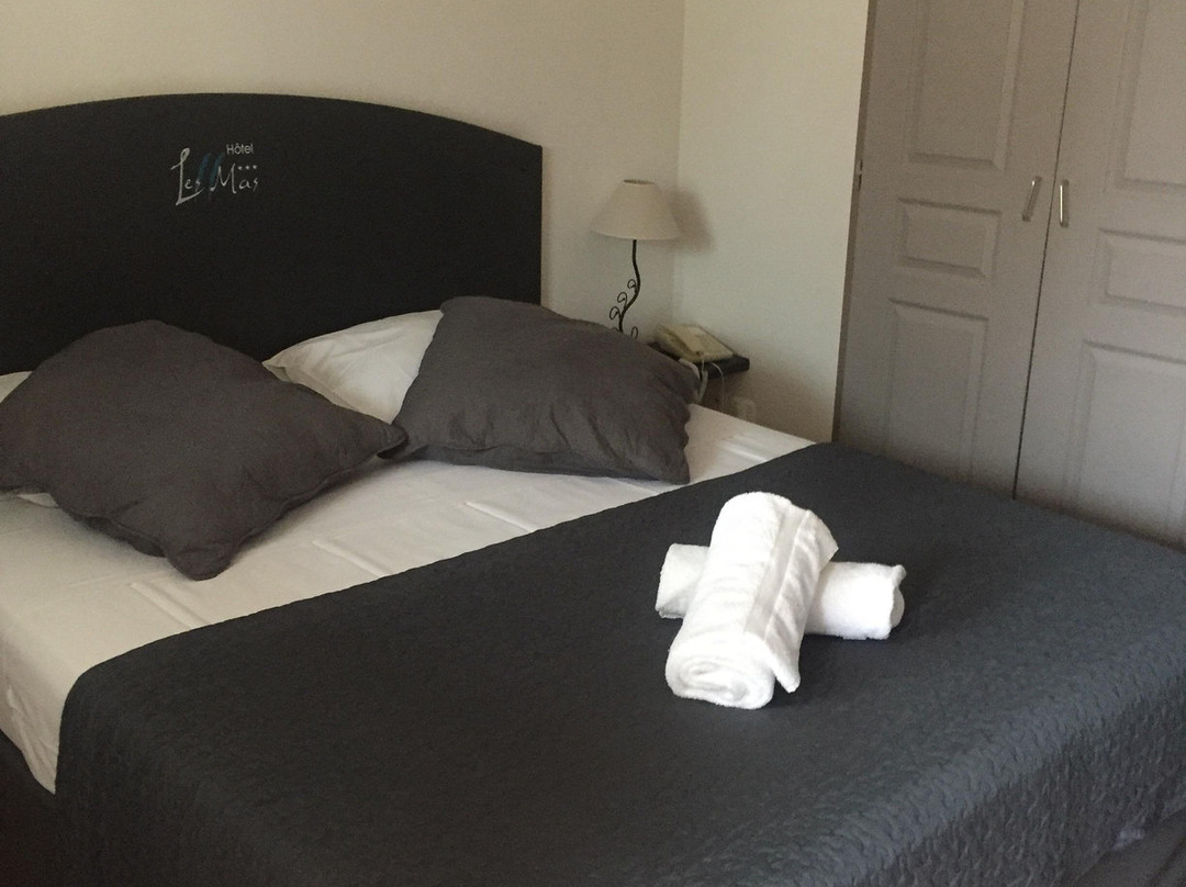 Logis Hôtel les II Mas主图