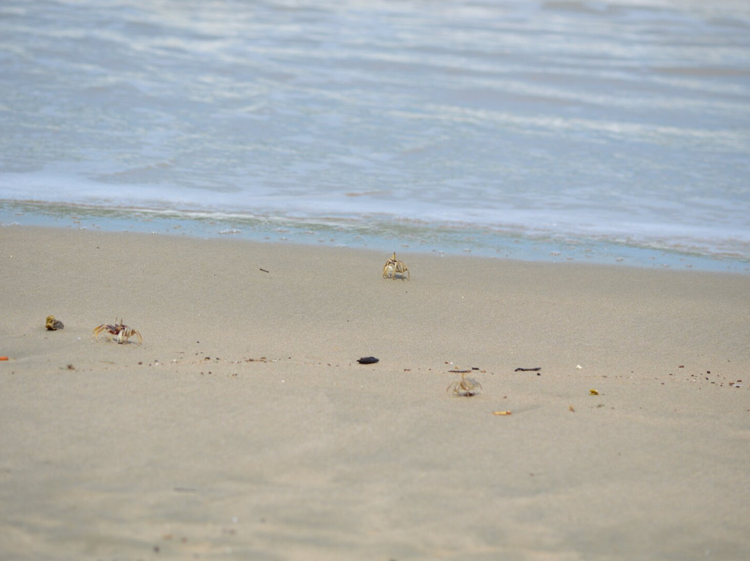 Koh Jum Delight Beach主图