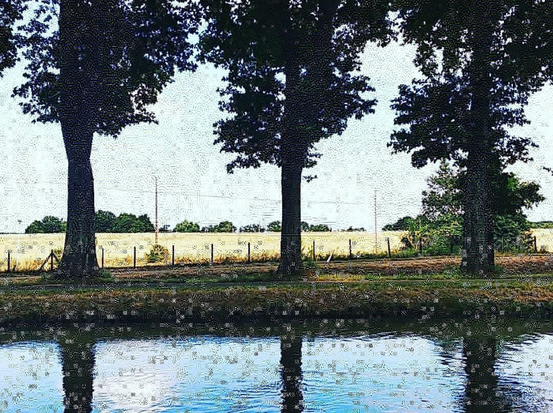 Canal de la Garonne景点图片