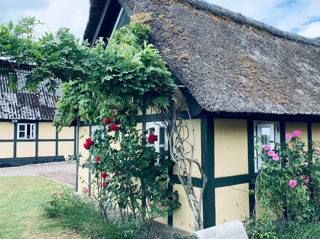 Country B&B Horsens主图