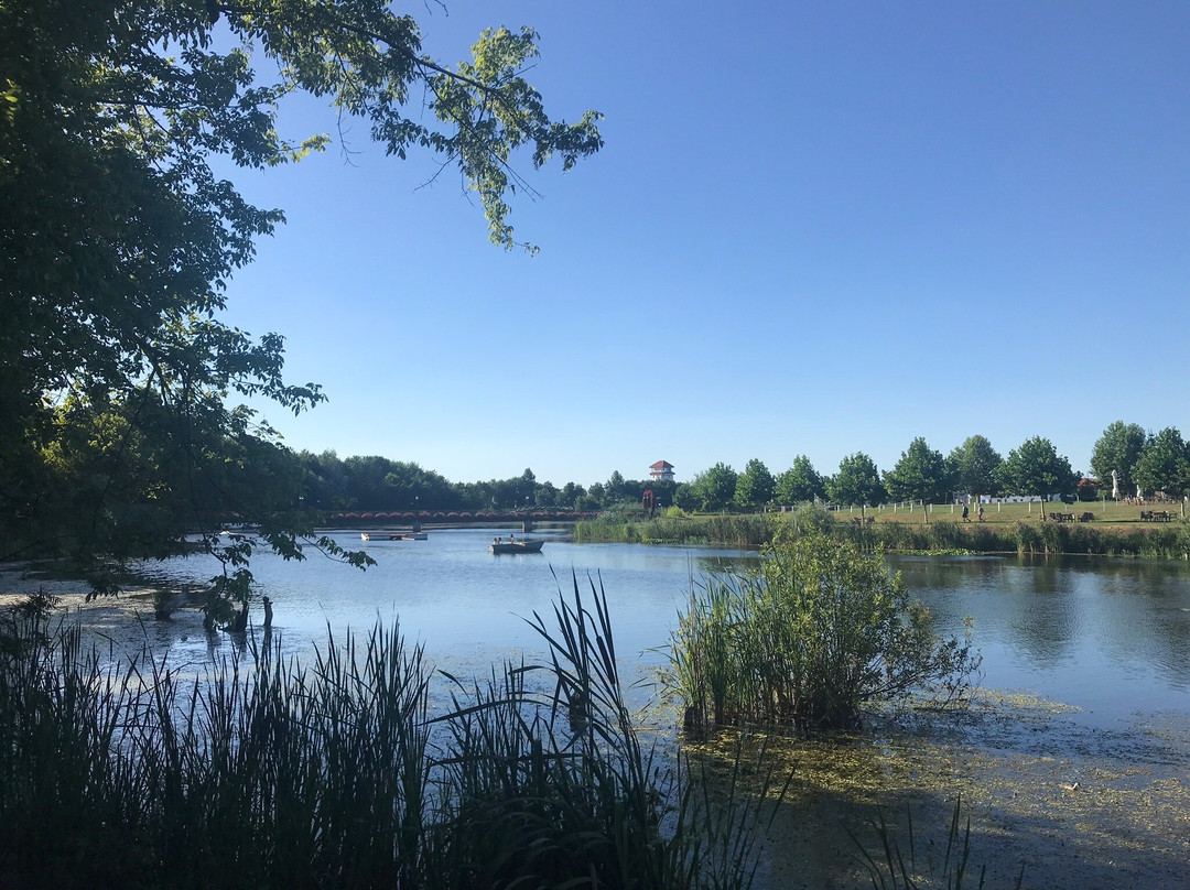 Comana Natural Park景点图片