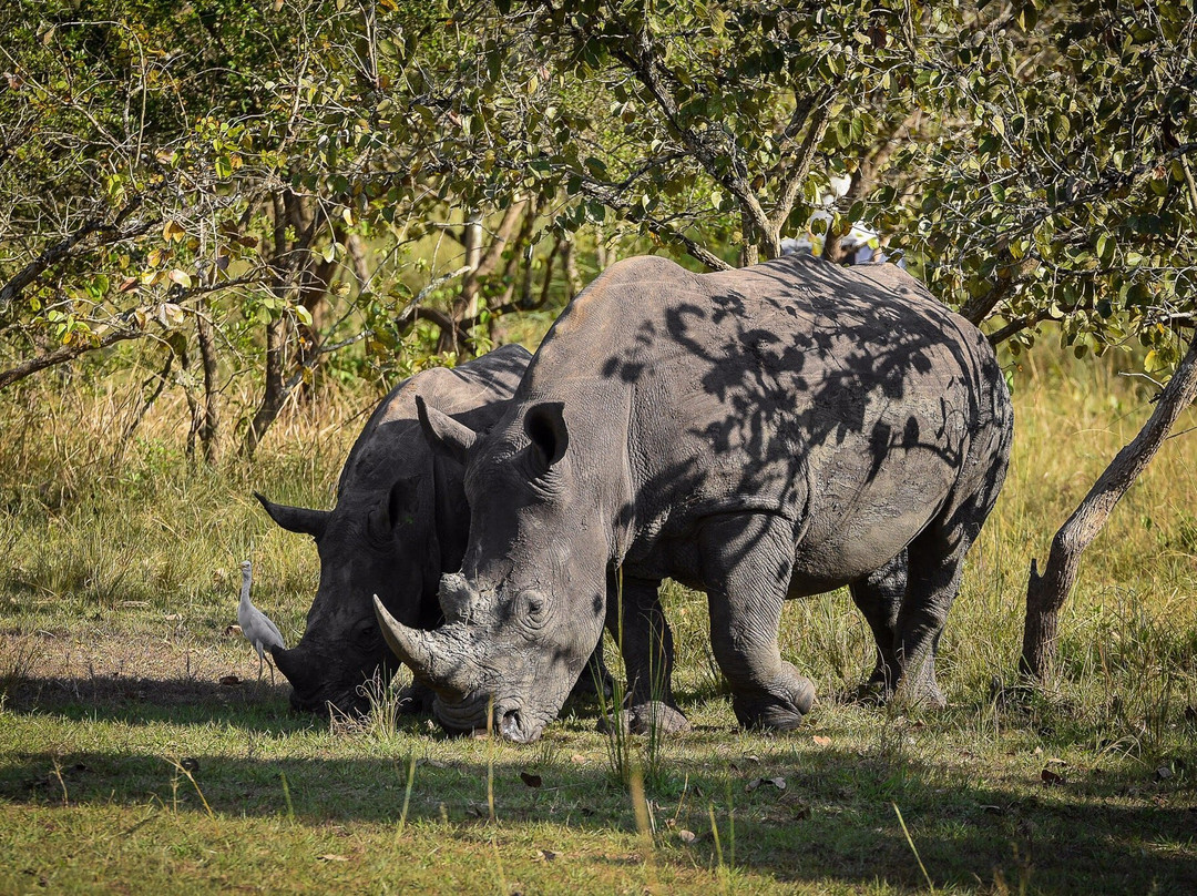 Wild Experience Africa-Wakiso必去景点