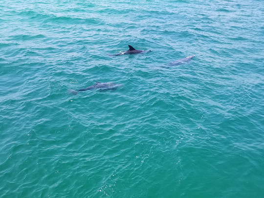Boogies Glass Bottom Boat-Miramar Beach必去景点