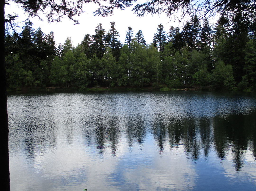 Lac de la Maix景点图片