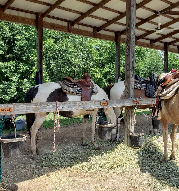 Santa's Stables-圣克劳斯必去景点