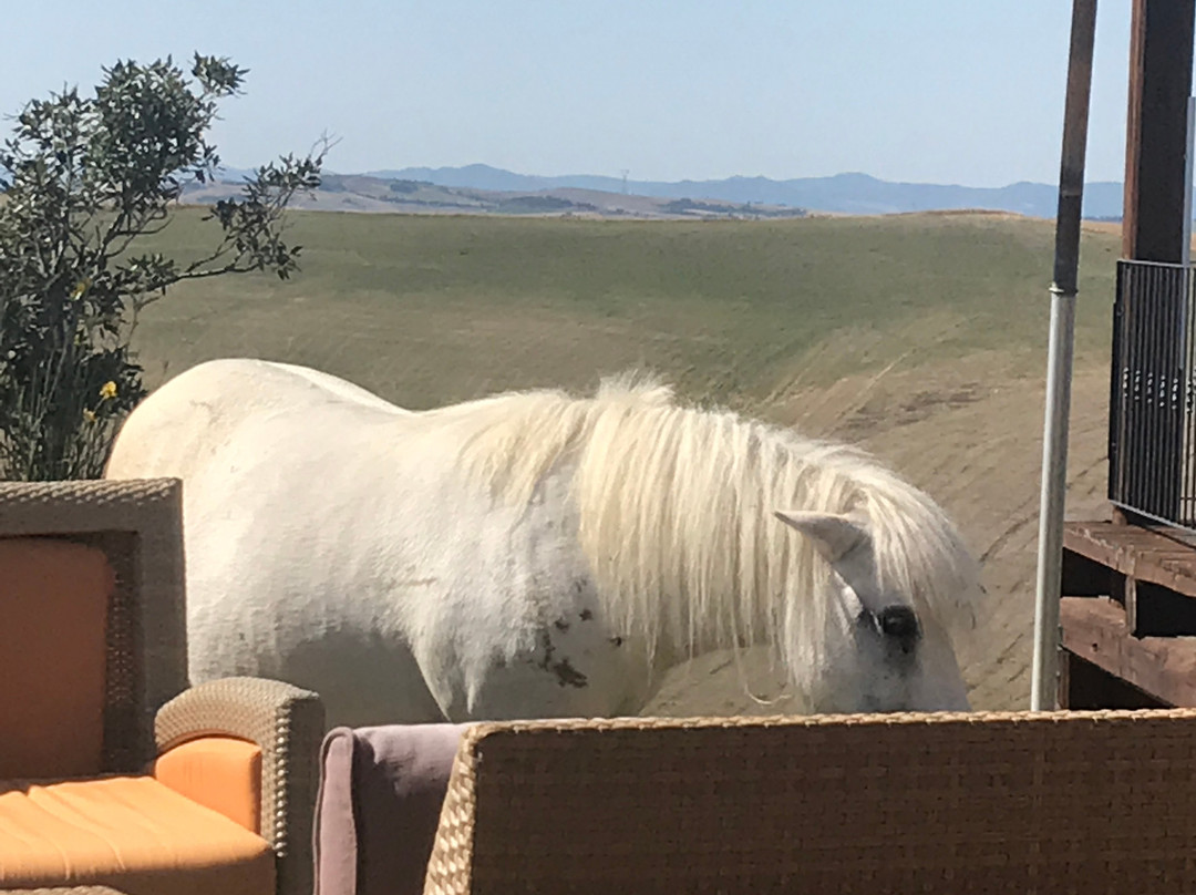 Diacceroni Agriturismo Biologico主图