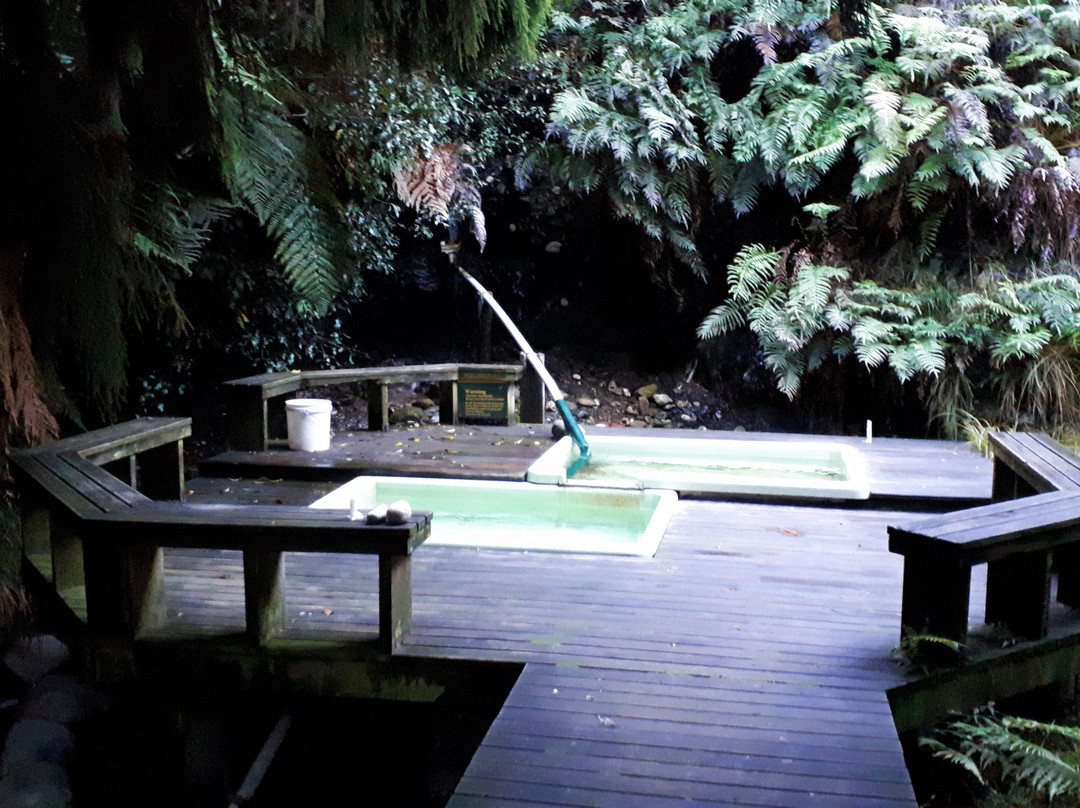 Mangatainoka Hot Springs景点图片