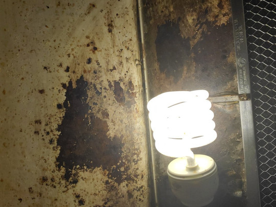 Extended Stay America - Piscataway - Rutgers University主图