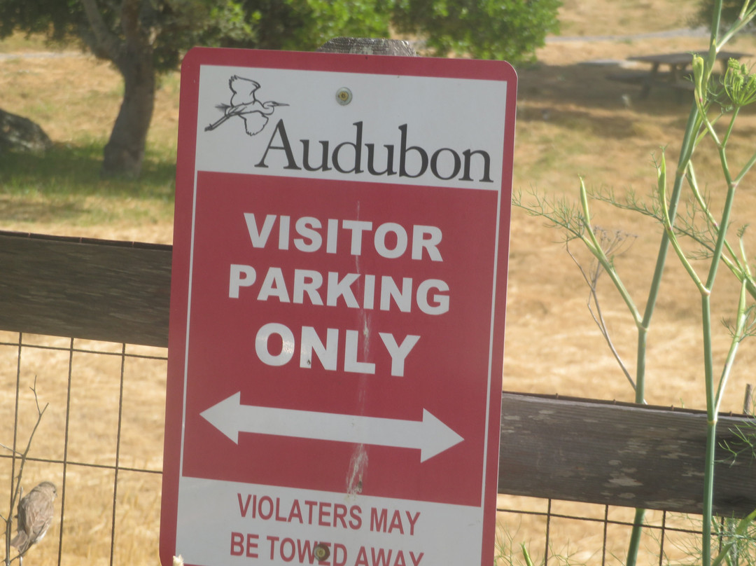 Richardson Bay Audubon Center景点图片