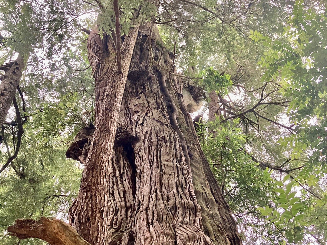 Cedar Wetlands Preserve-Rockaway Beach必去景点
