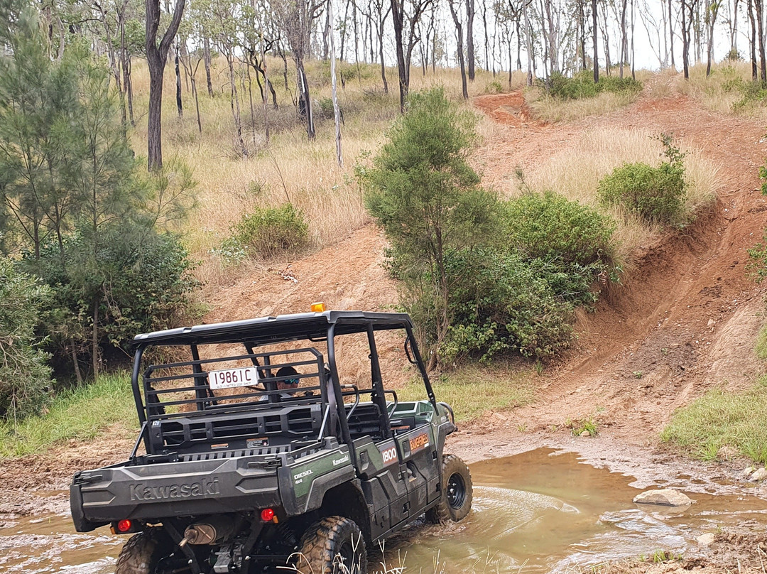 Oz Buggy Tours-Kingaham必去景点