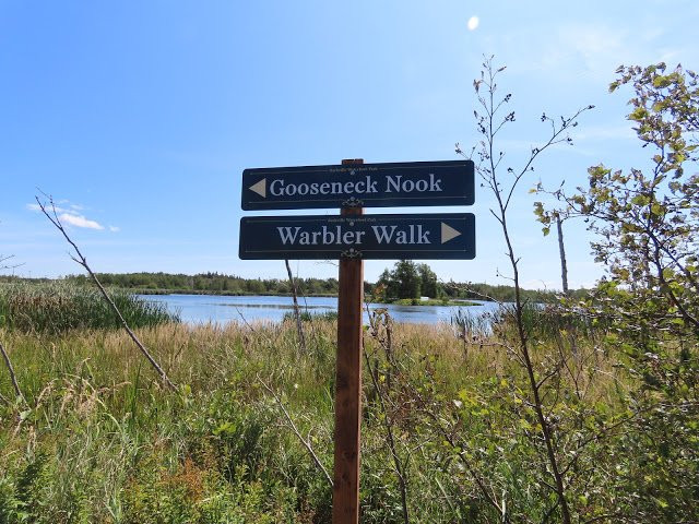 Sackville Waterfowl Park景点图片