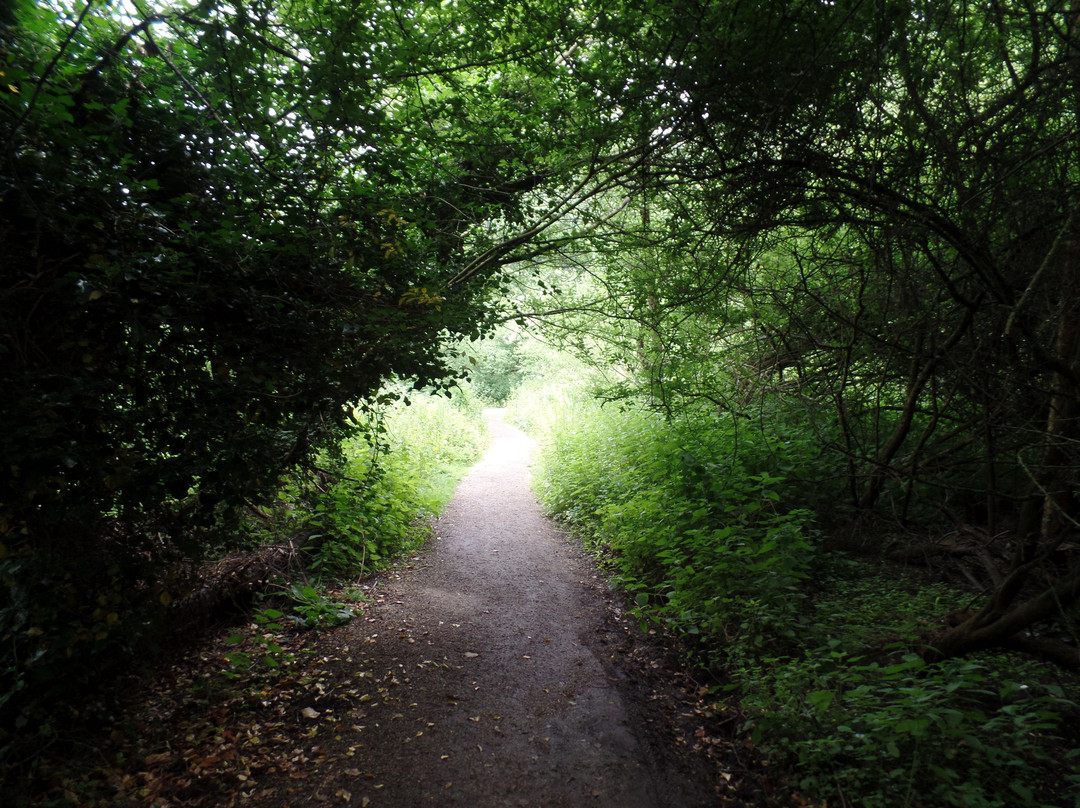 Elvaston Local Nature Reserve-Elvaston必去景点