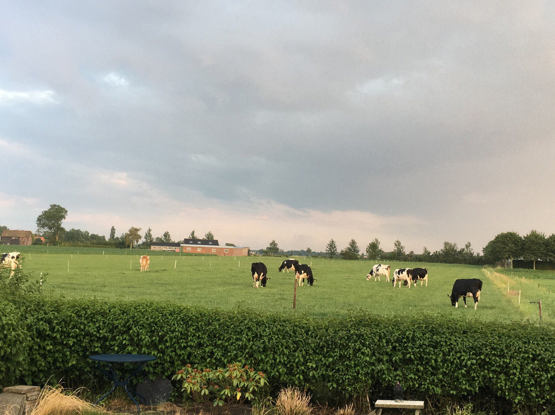 Gapinge旅游攻略图片