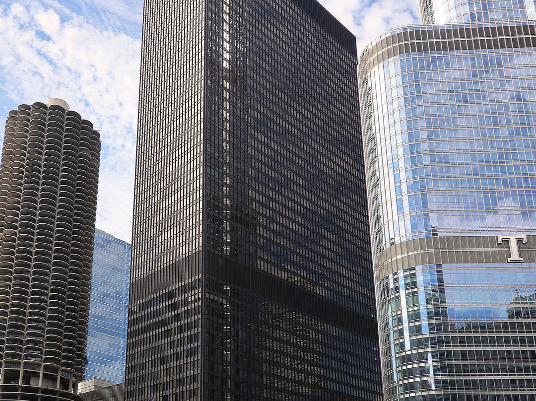 Chicago Skyline景点图片
