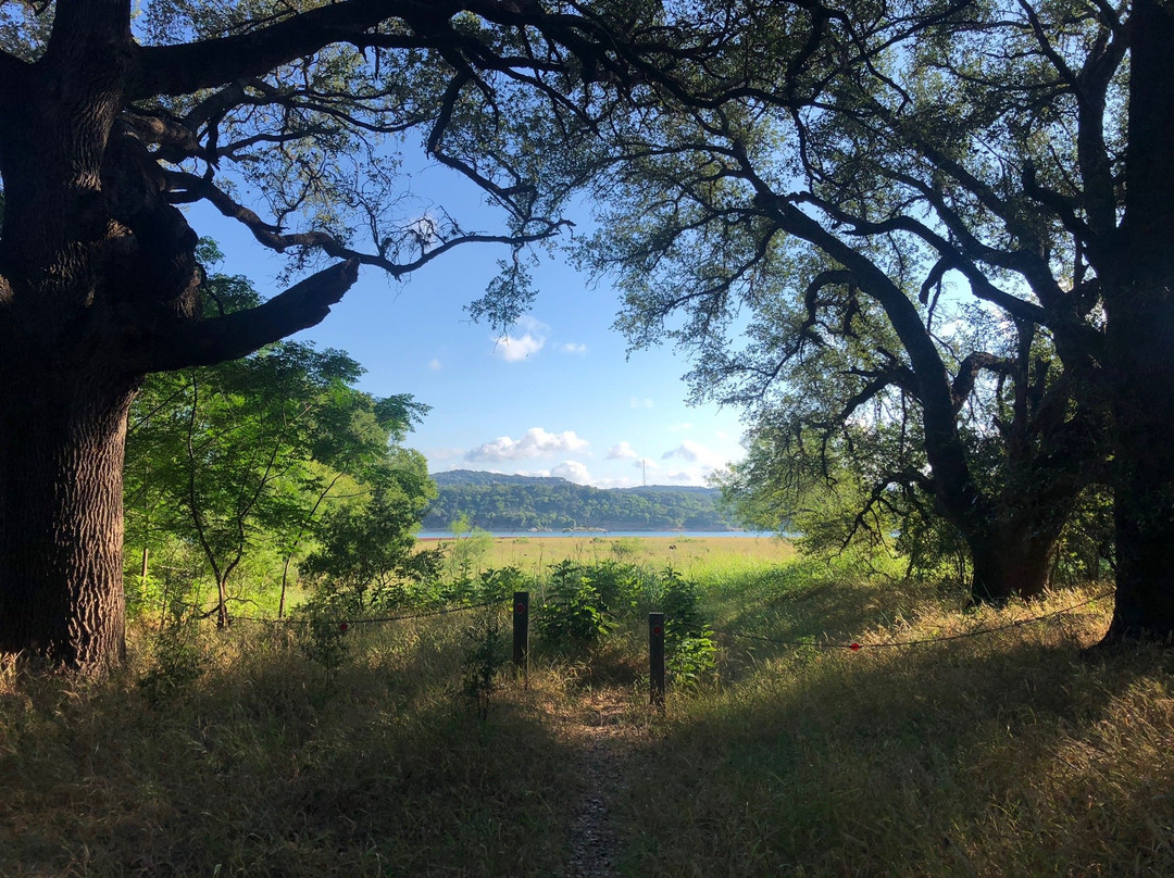 Muleshoe Bend Recreation Area-Spicewood必去景点