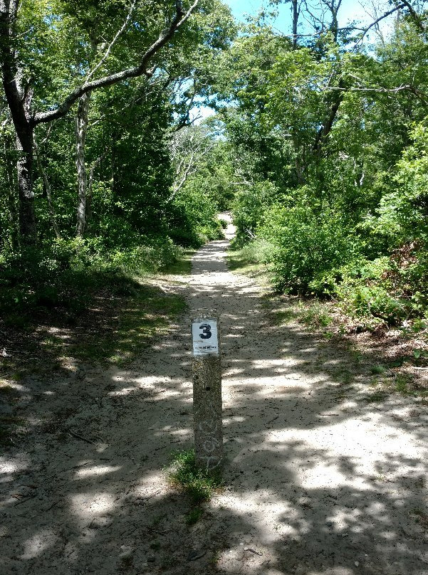 Dune Shacks Trail景点图片