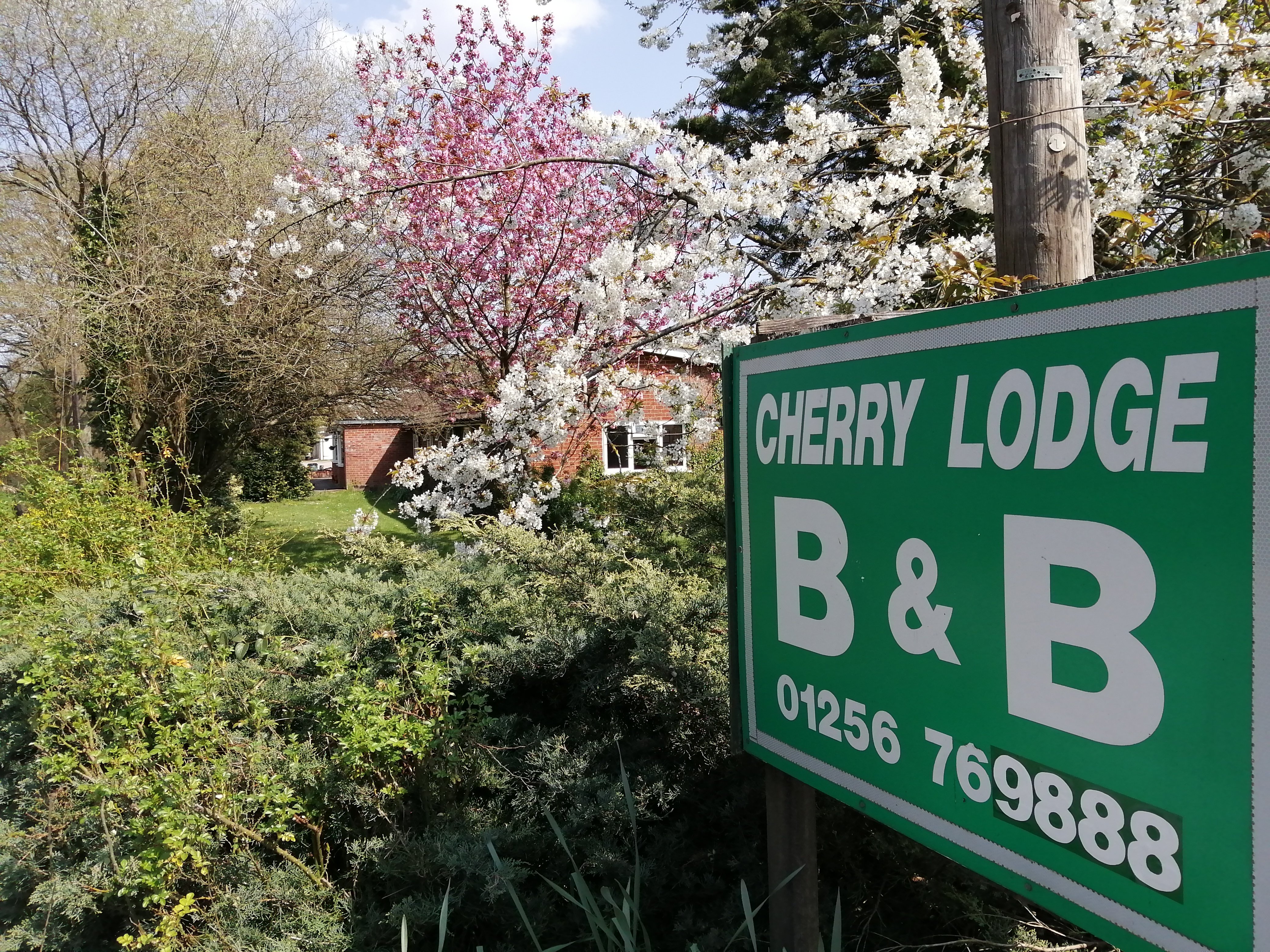 Cherry Lodge-官方