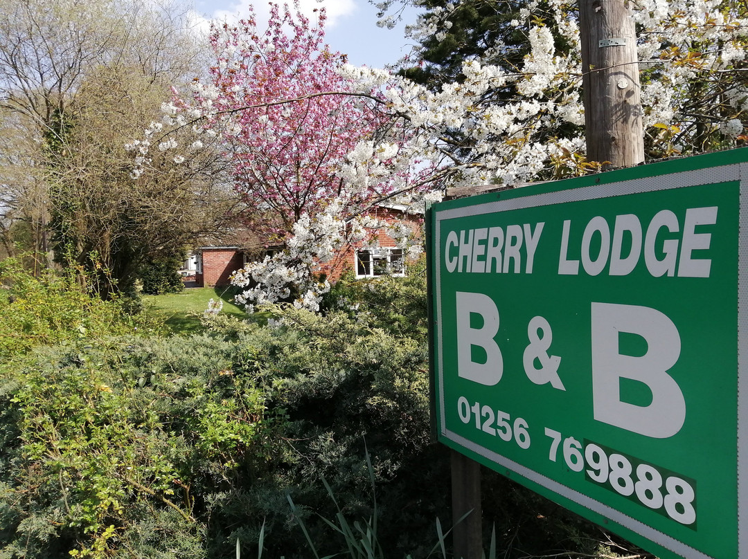 Cherry Lodge主图