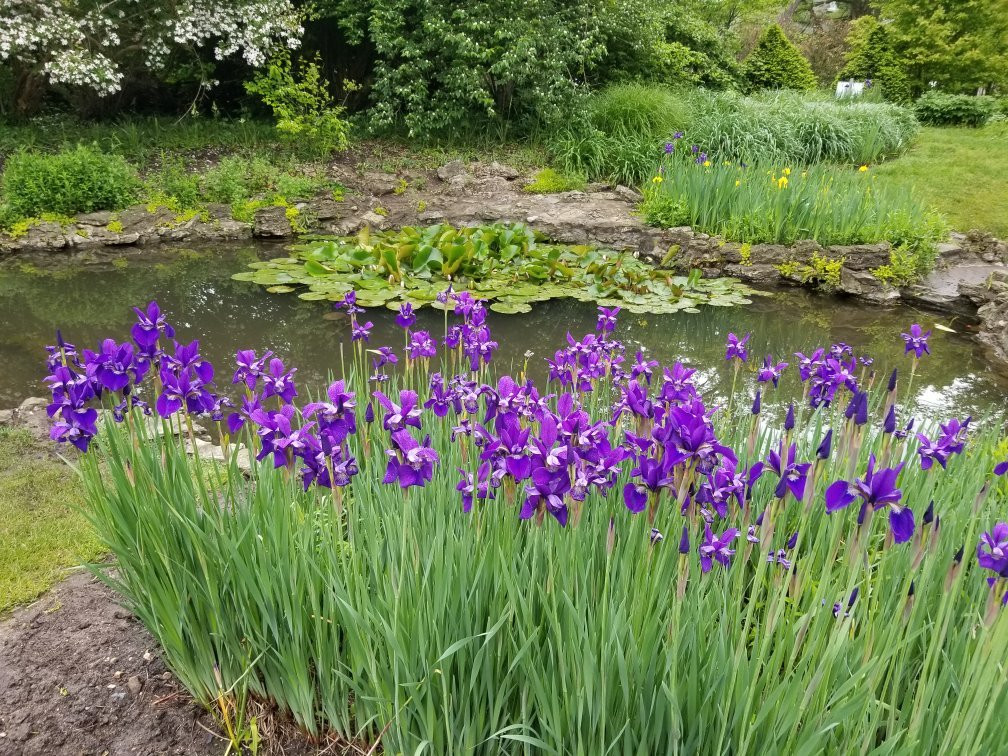 Smith Gardens-代顿必去景点