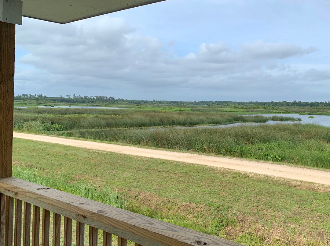 Cattail Marsh-博蒙特必去景点