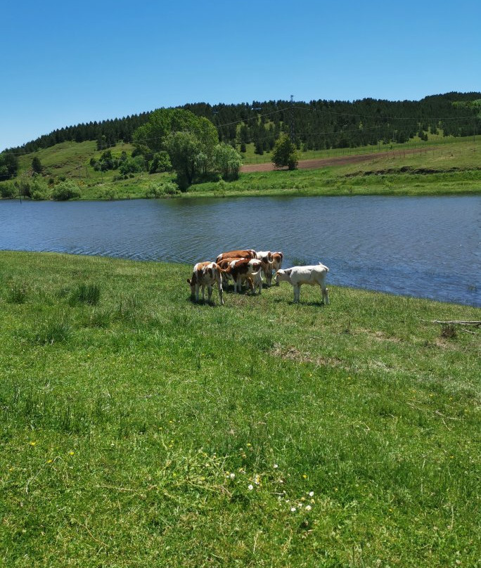 Azienda agricola Serravalle-Celico必去景点