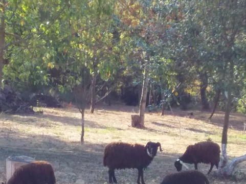 Domaine Dms Debah-Crespinet必去景点