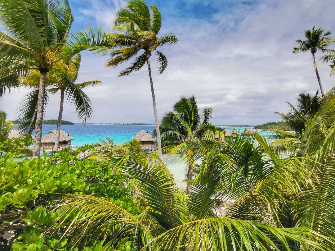 索菲特波拉波拉私人岛屿酒店主图