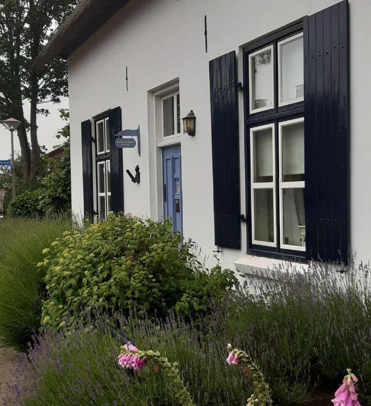 Bed & Breakfast MILLINGEN ON THE RHINE主图