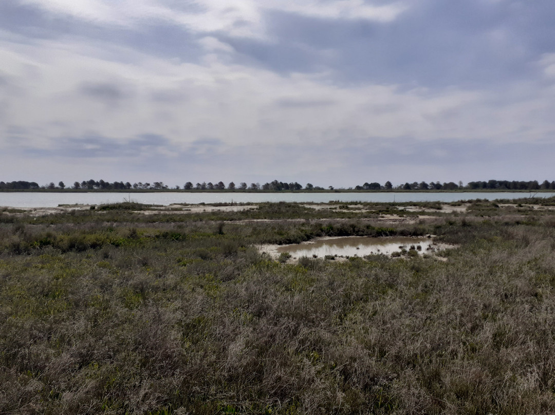 Laguna del Mort-Eraclea Mare必去景点