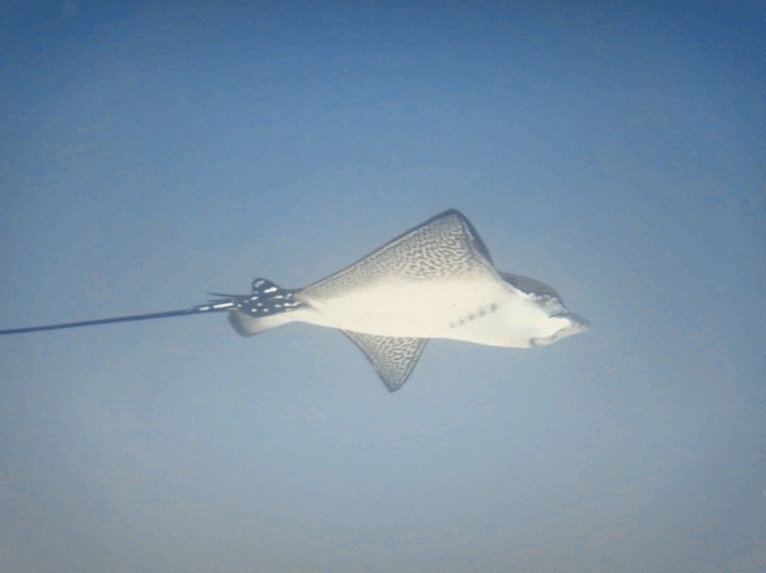 The Darwin Path - Travel Agency-阿约拉港必去景点