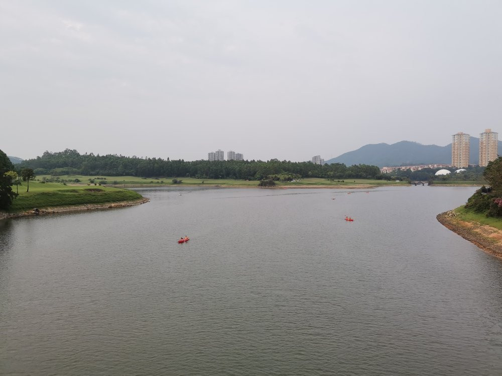 白鹭湖-惠州市必去景点