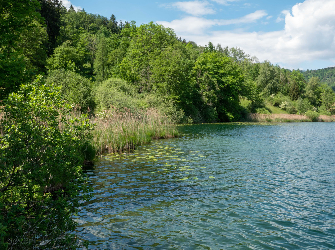 Turlersee-Hausen am Albis必去景点
