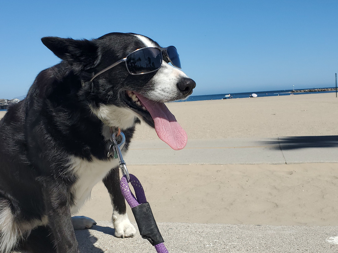 玛丽娜海滩汽车旅馆主图