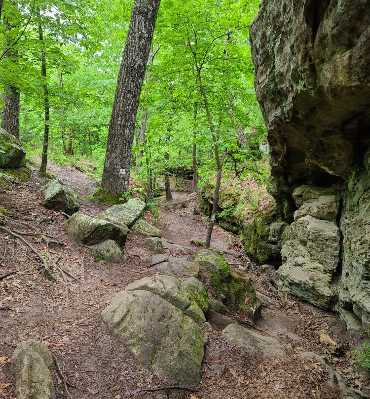 Pickle Springs Natural Area景点图片