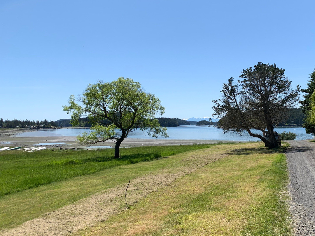 Decatur Island旅游攻略图片