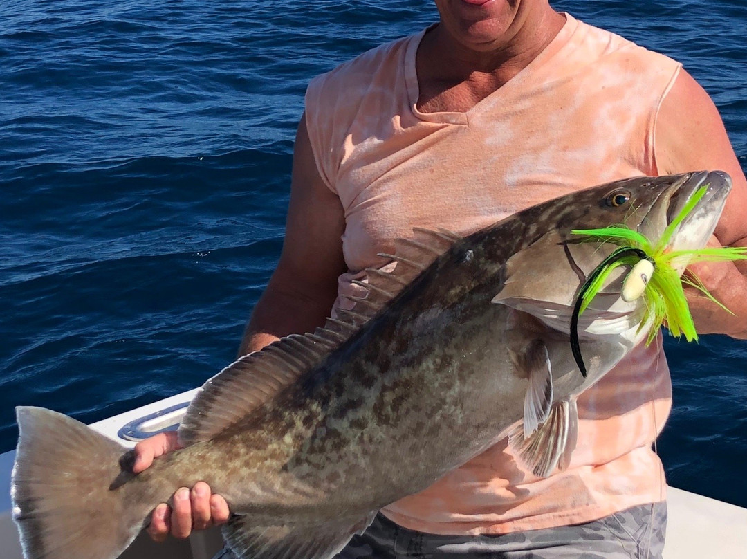 Sea Leveler Sport Fishing Charters景点图片