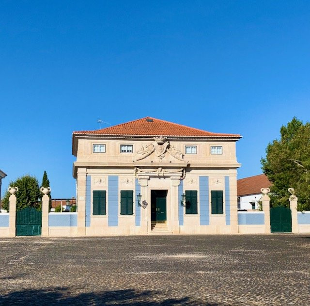 Palacete Almeida Araújo景点图片