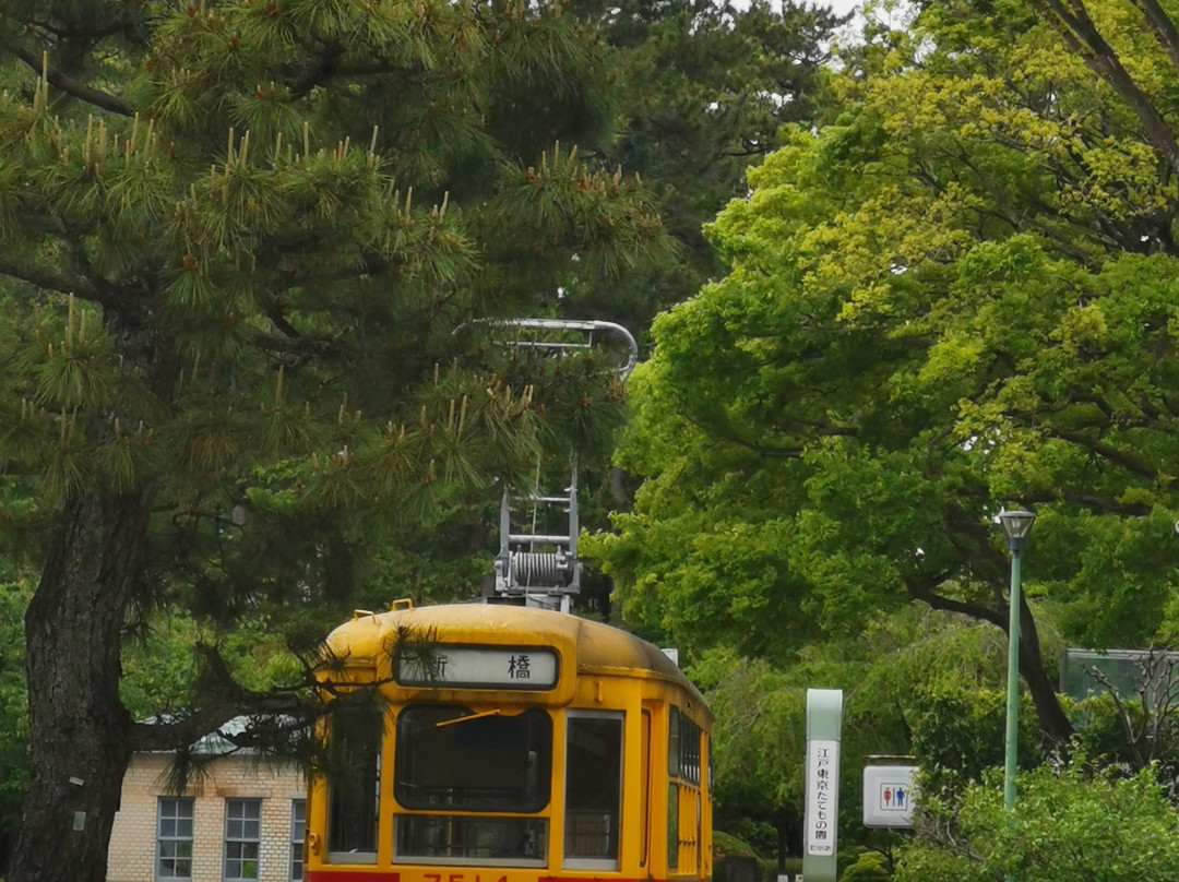 Tokyo Metropolitan Koganei Park-小金井市必去景点