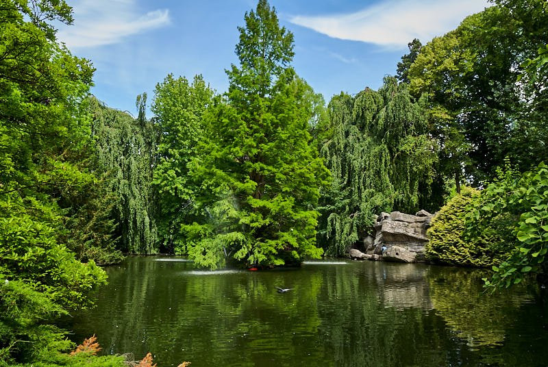 Jardin de la Rhônelle景点图片